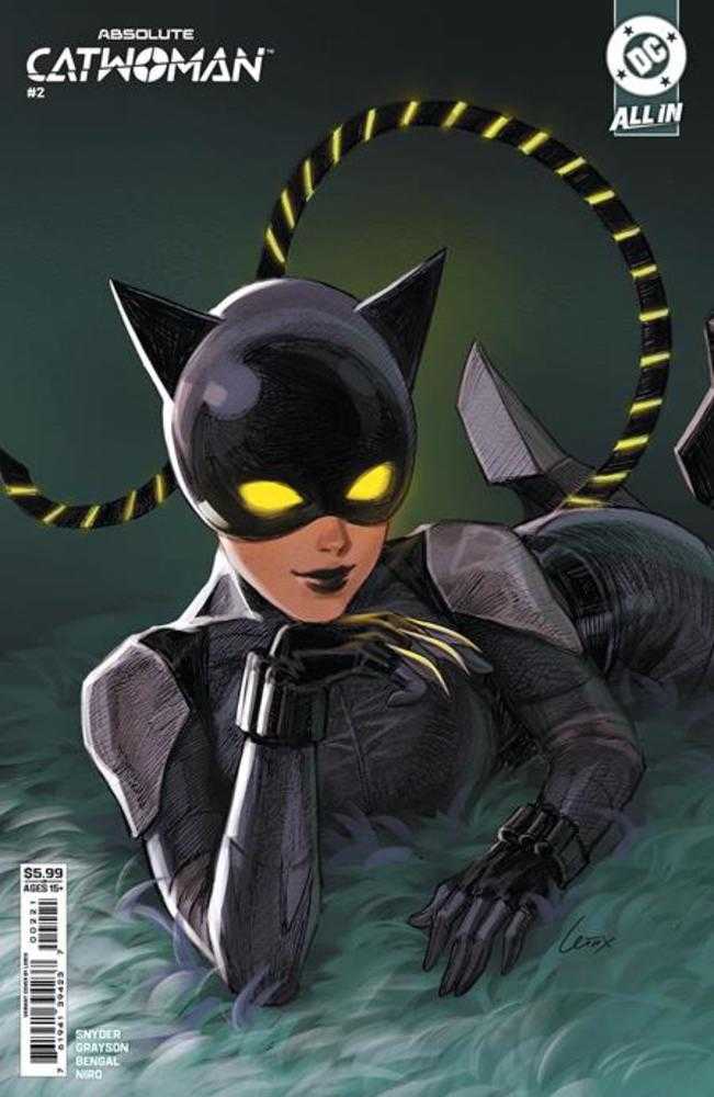 Absolute Catwoman 2 (Of 6) Cover B Lesley Leirix Li Card Stock Variant - gabescaveccc