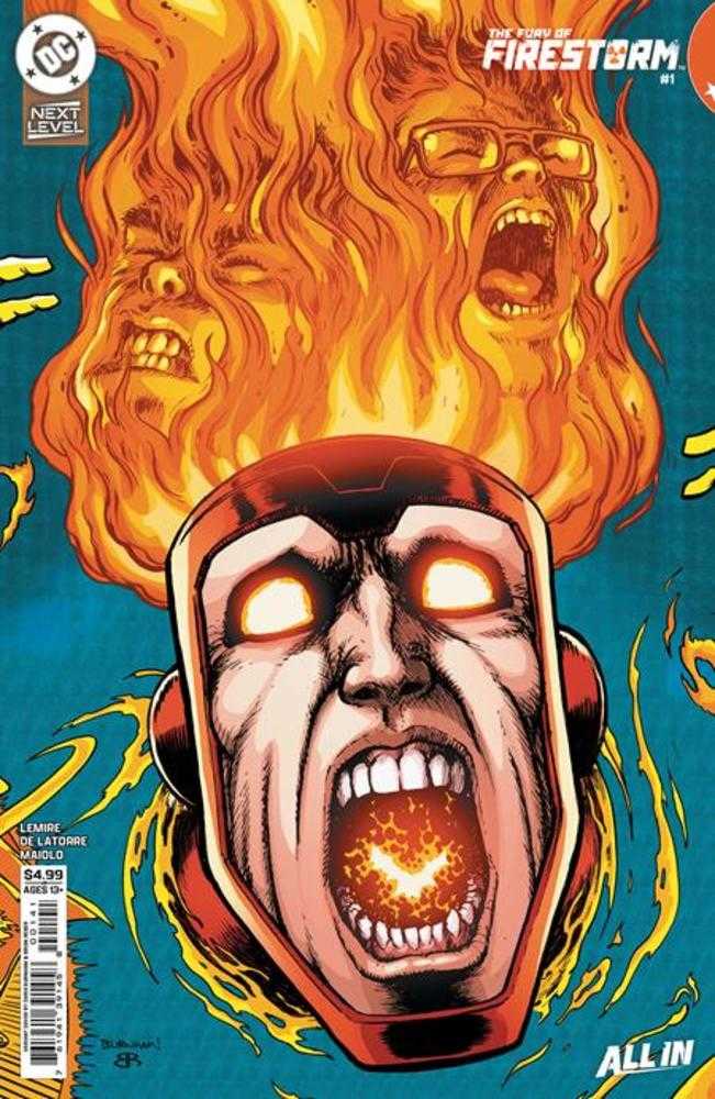 Fury Of Firestorm 1 (Of 6) Cover C Chris Burnham Card Stock Variant - gabescaveccc