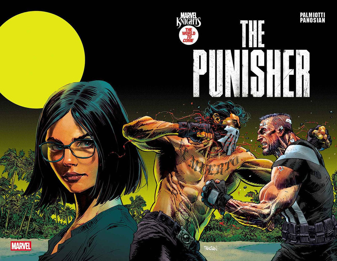 Marvel Knights: Punisher 2 - gabescaveccc