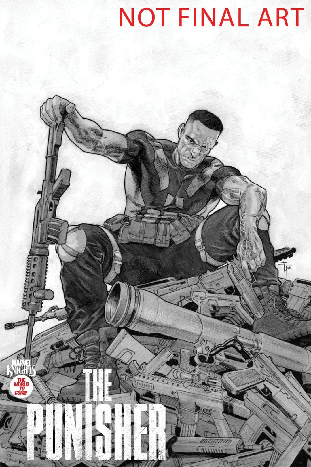 Marvel Knights: Punisher 2 Francesco Mobili Variant - gabescaveccc