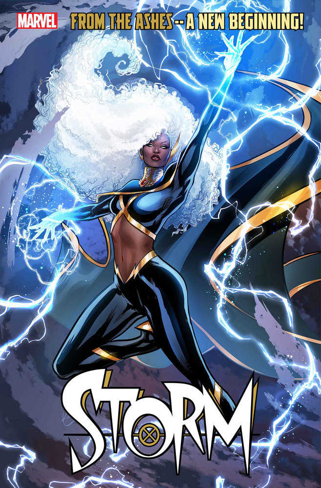 Storm #1 Lucas Werneck Variant - gabescaveccc