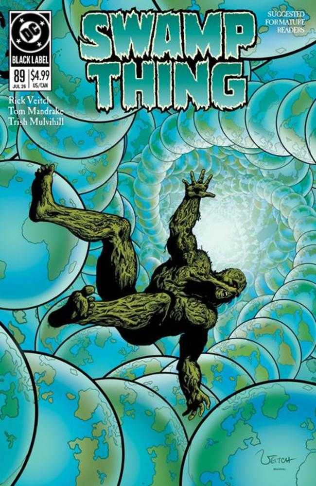 Swamp Thing 1989 2 (Of 4) Cover A Rick Veitch (Mature) - gabescaveccc