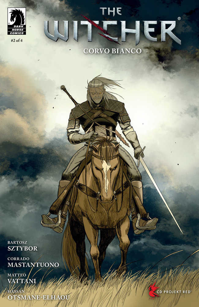 The Witcher: Corvo Bianco #2 (Cover C) (Neyef) - gabescaveccc