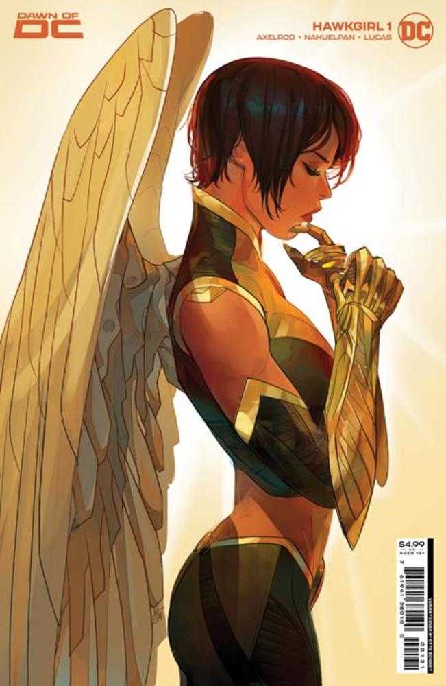 Hawkgirl #1 (Of 6) Cover C Otto Schmidt Card Stock Variant - gabescaveccc