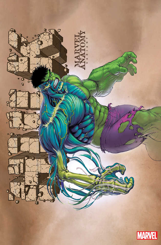 Hulk #11 Marvel Anatomy Lobe Variant - gabescaveccc