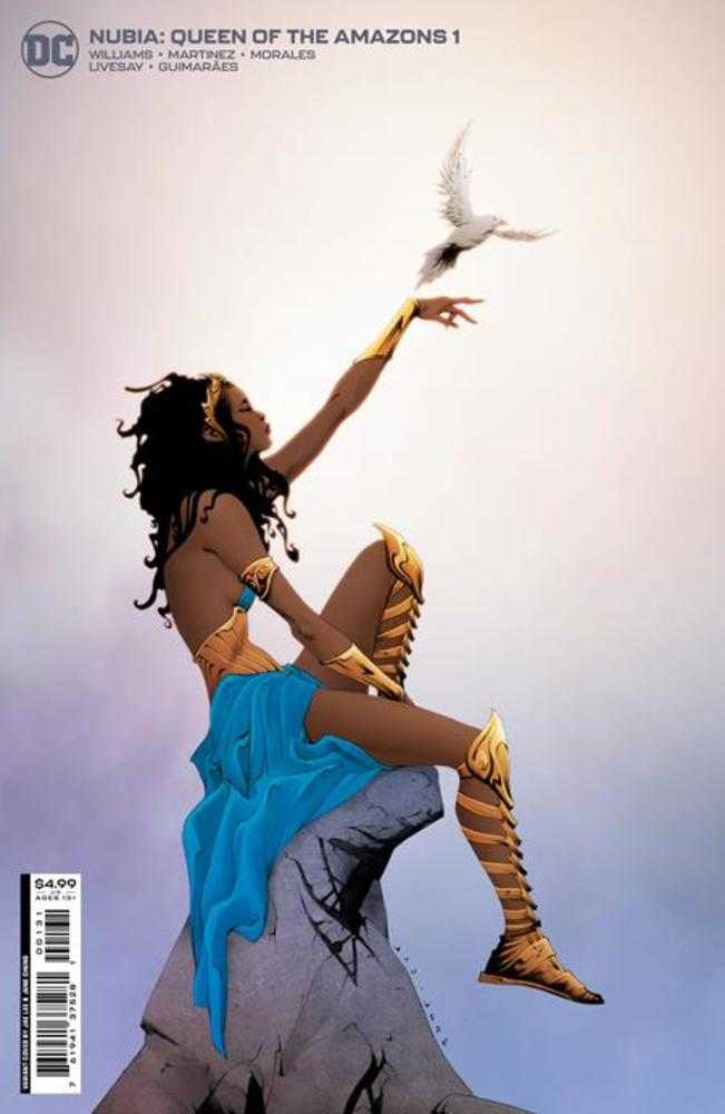 Nubia Queen Of The Amazons #1 (Of 4) Cover B Jae Lee Card Stock Variant - gabescaveccc