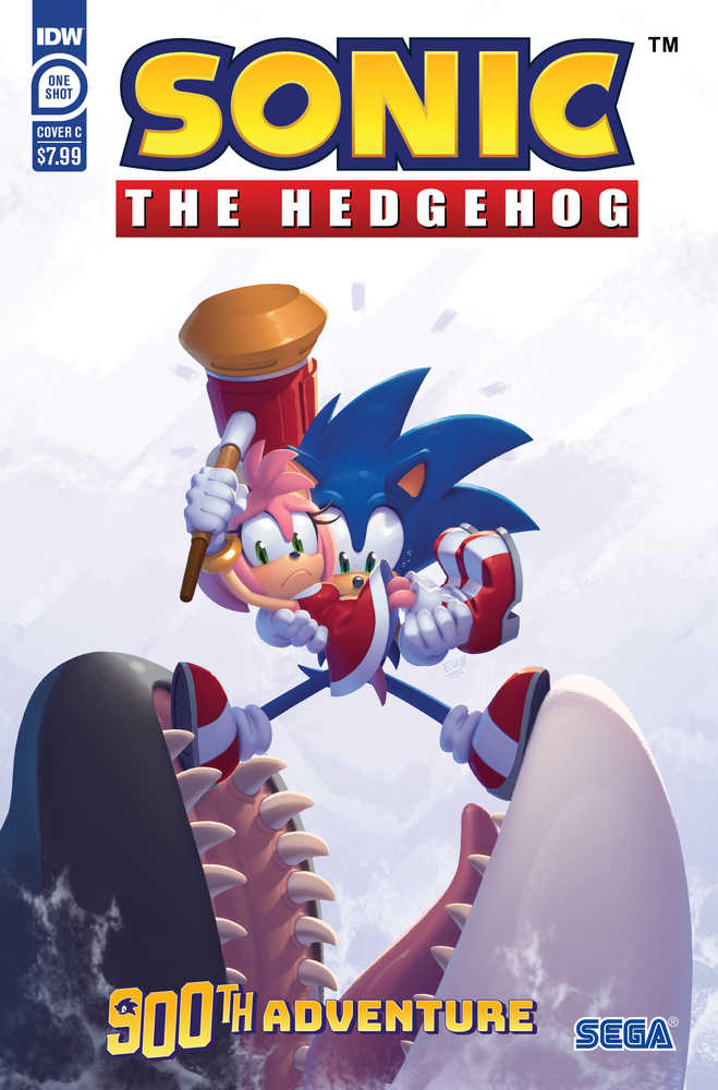 Sonic The Hedgehogs 900th Adventure Cover C Stanley - gabescaveccc