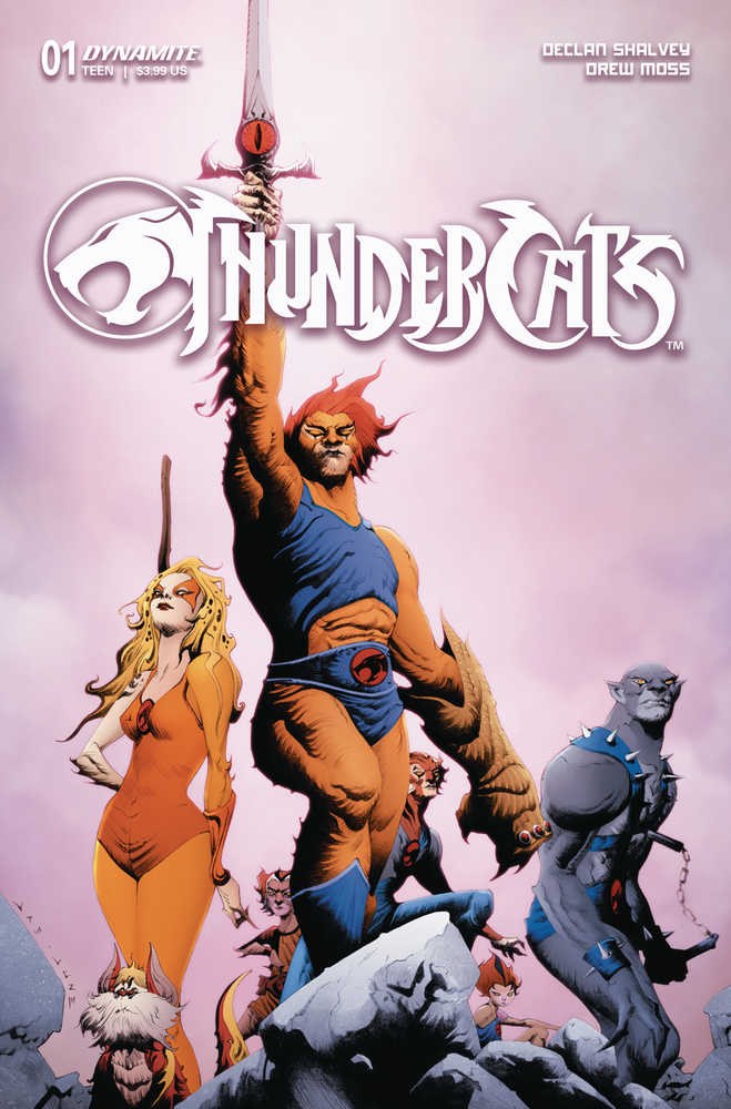 Thundercats #1 Cover D Lee & Chung - gabescaveccc